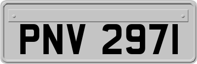 PNV2971