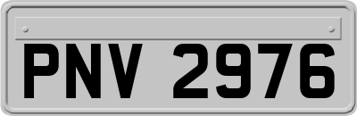 PNV2976