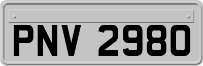 PNV2980