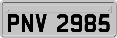 PNV2985
