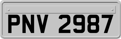 PNV2987