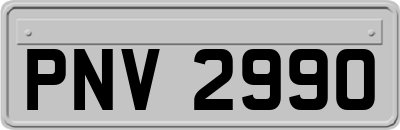 PNV2990