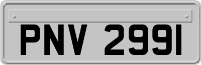 PNV2991