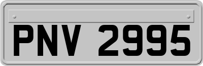 PNV2995
