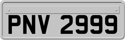 PNV2999