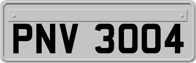 PNV3004