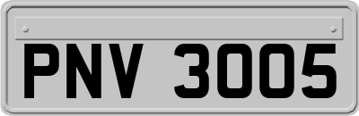 PNV3005