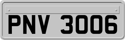 PNV3006