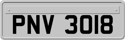 PNV3018