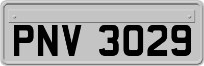 PNV3029