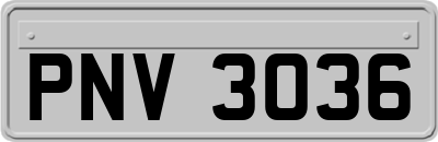 PNV3036