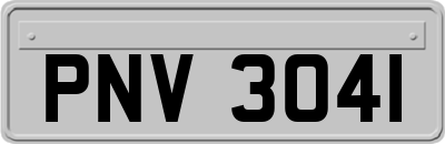 PNV3041