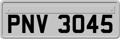 PNV3045