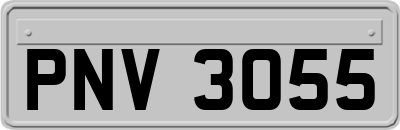 PNV3055