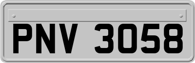 PNV3058