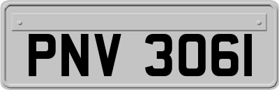 PNV3061