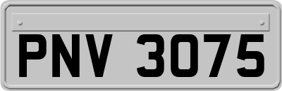 PNV3075