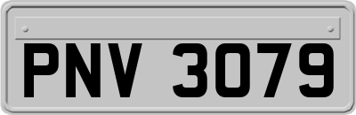 PNV3079