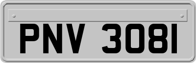 PNV3081