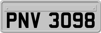 PNV3098