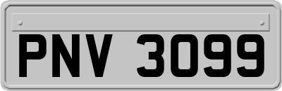 PNV3099