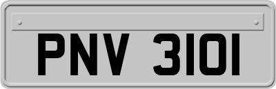 PNV3101
