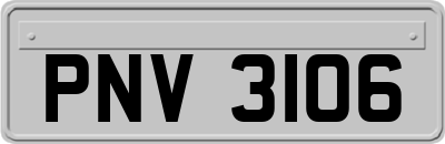 PNV3106
