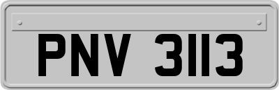 PNV3113