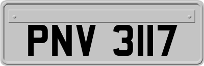 PNV3117