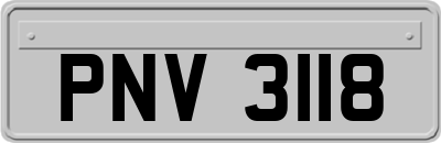 PNV3118