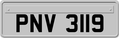 PNV3119