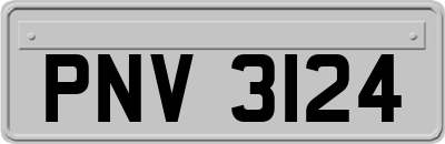 PNV3124