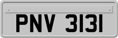PNV3131