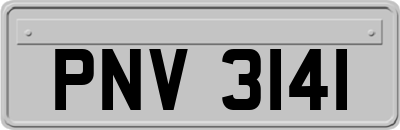 PNV3141