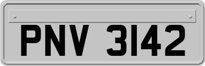 PNV3142