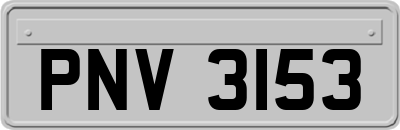PNV3153
