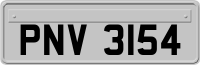 PNV3154