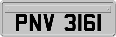 PNV3161