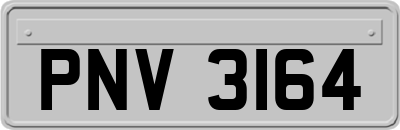 PNV3164