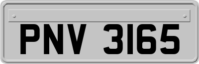 PNV3165