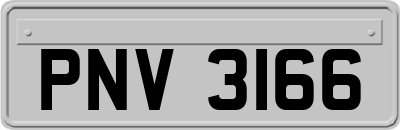 PNV3166