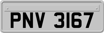 PNV3167