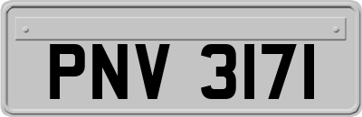 PNV3171