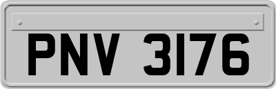 PNV3176