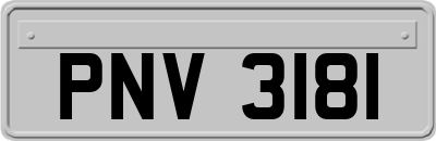 PNV3181