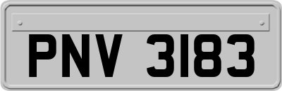 PNV3183