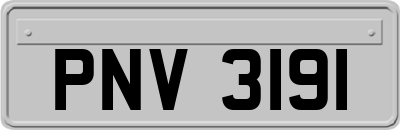 PNV3191