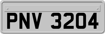 PNV3204