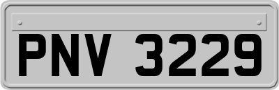 PNV3229