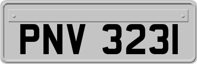 PNV3231